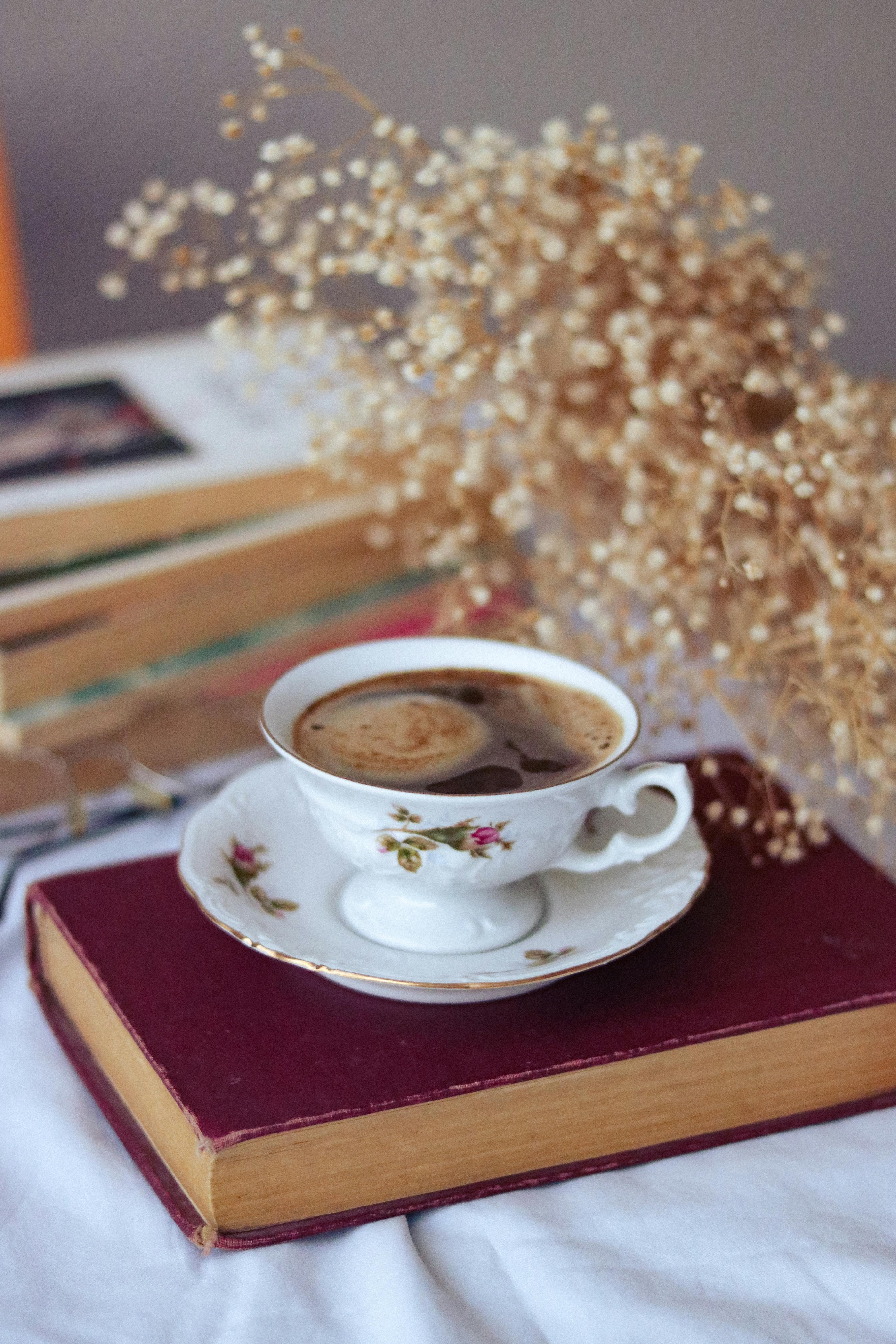 Cup of Coffee on a Book with Dry Plants · Free Stock Photo