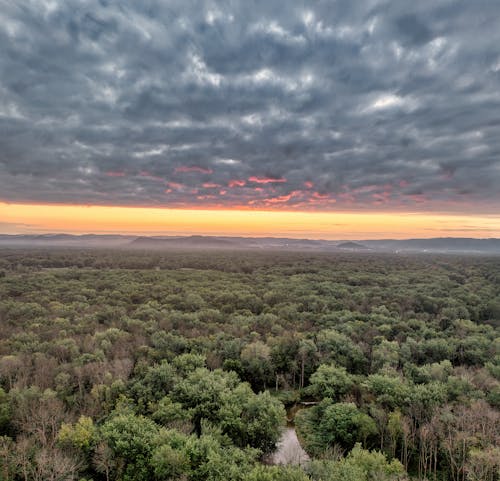 Aerial View of a Green Forest and Mountains in Distance at Sunset 