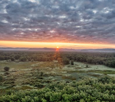 A breathtaking aerial view of Trevino, Wisconsin, showcasing the sunset over a vibrant forest and meadow.