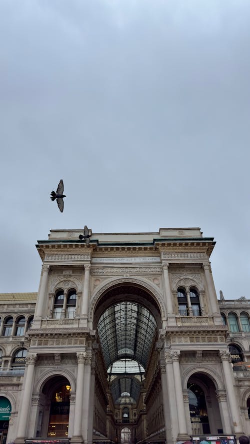 A bird flying over a building in a city