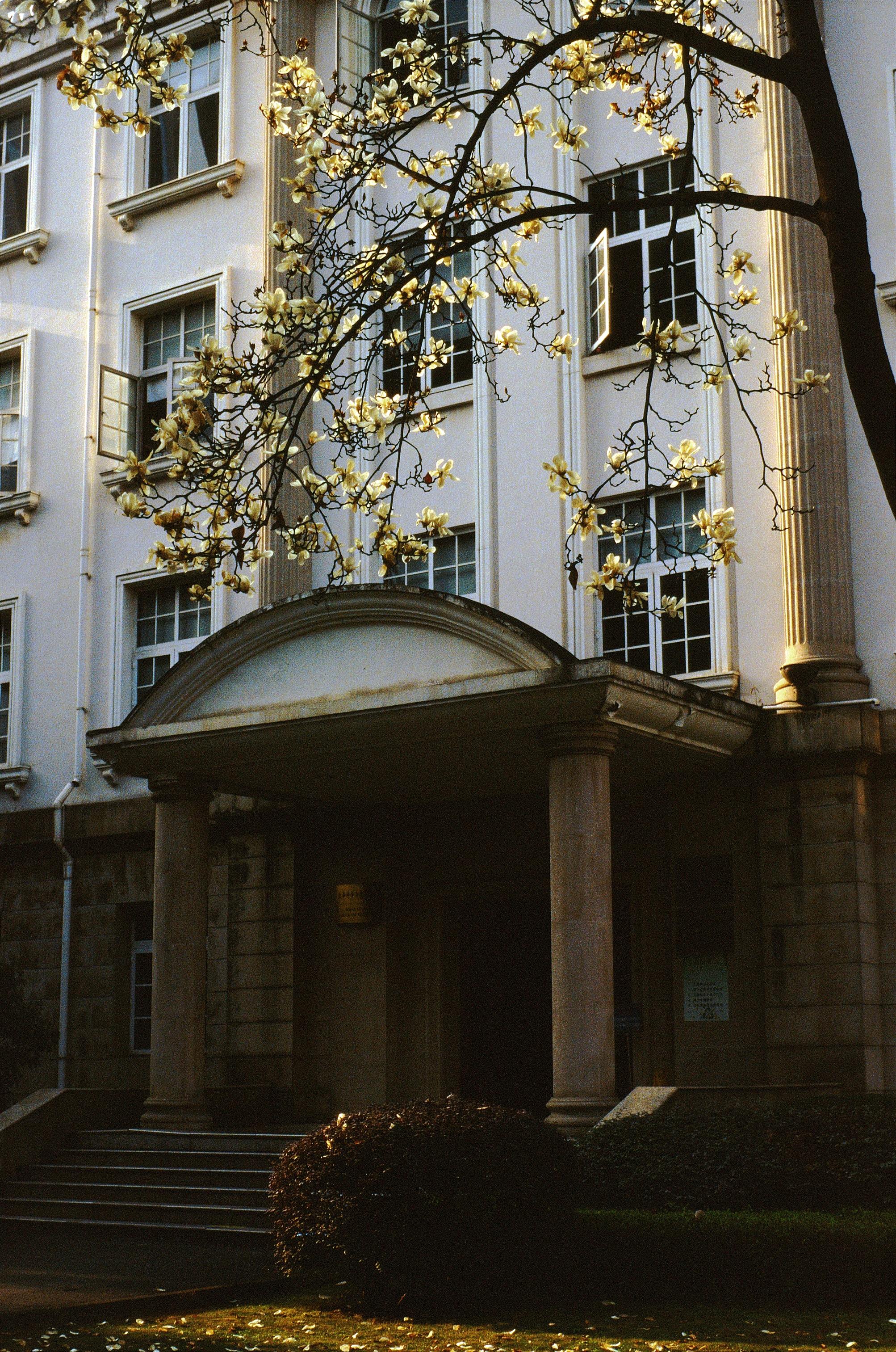 Step-by-Step Guide: How to Disable DLSS in Hogwarts Legacy on Windows 11 for a Smoother Experience