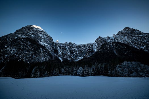 Dramatic winter landscape featuring snowy mountains and a forest at twilight.