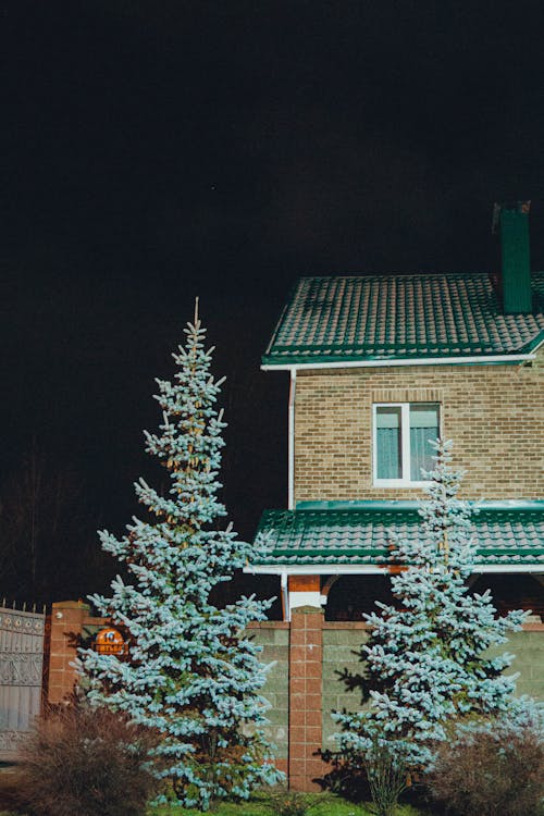 Trees by House at Night