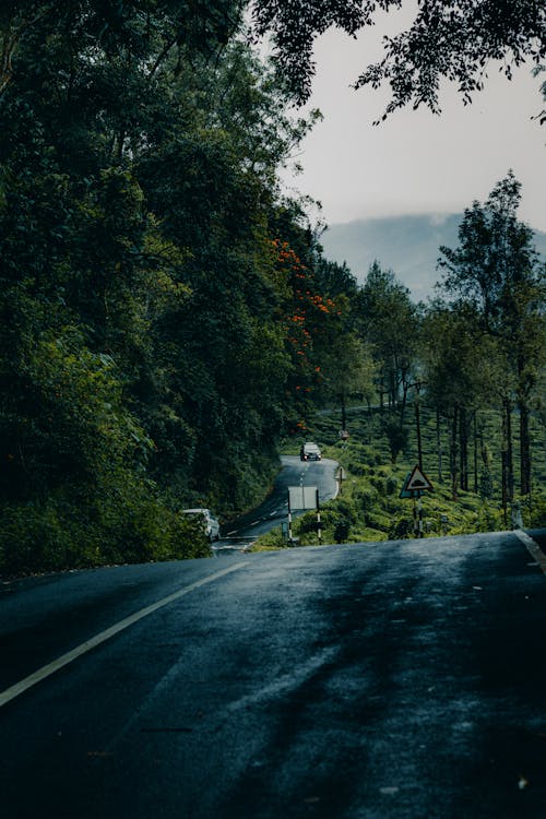 Foto profissional grátis de automóveis, enrolamento, estrada