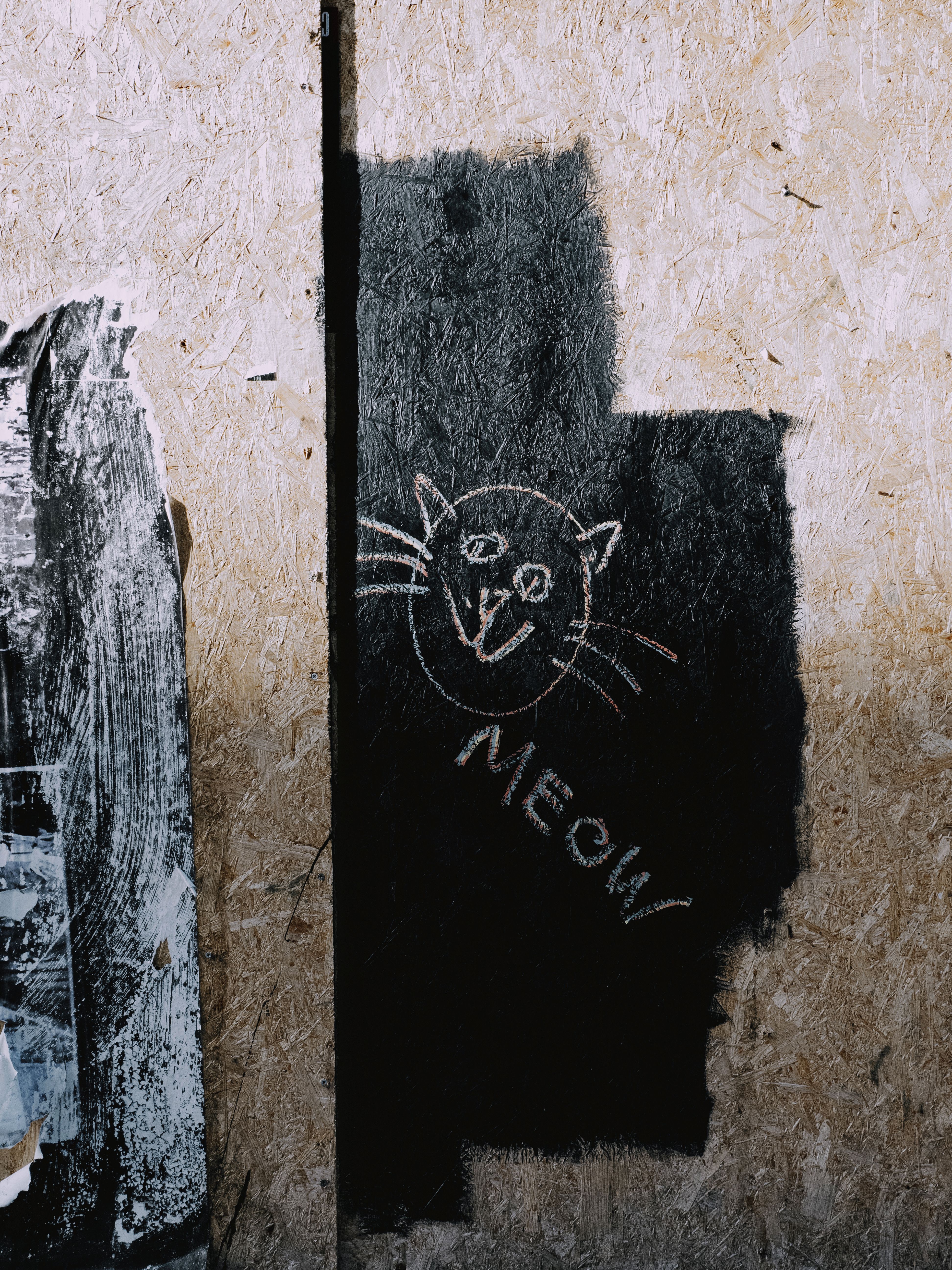 Chalk cat drawing on a textured wooden wall with artistic flair.