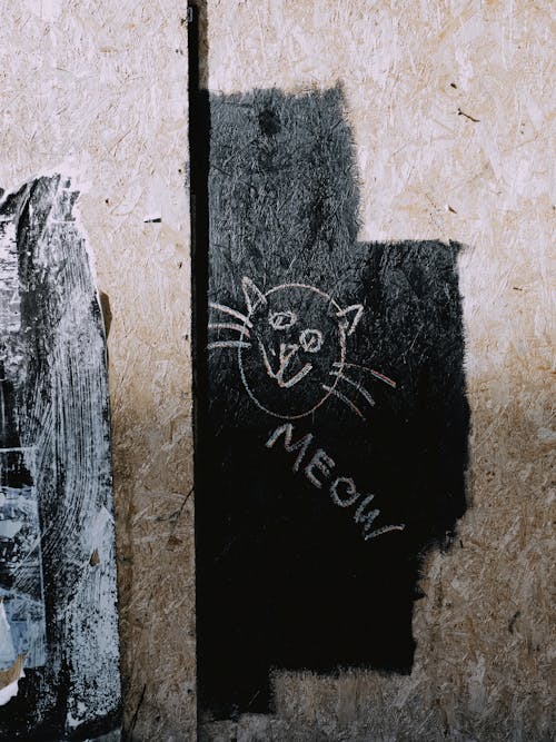 A cat is drawn on the wall of a building