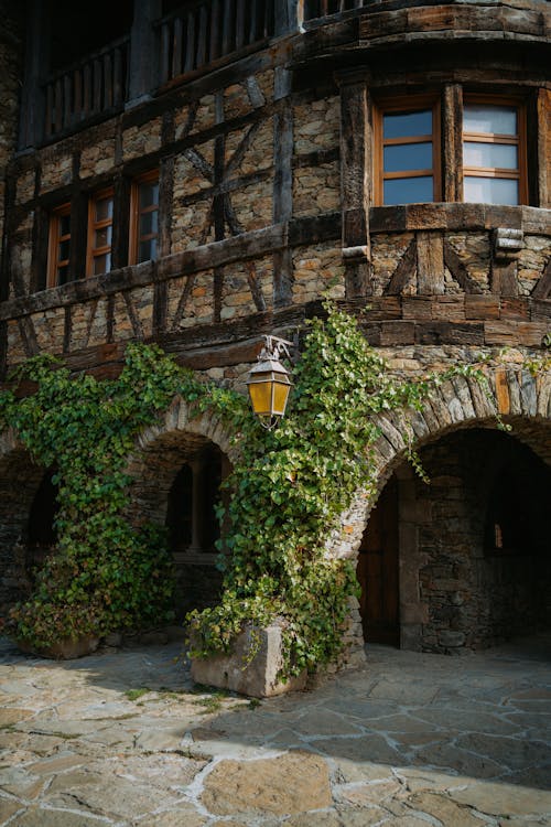 Ivy on a Stone Building 