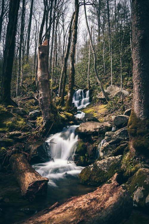 Free Waterfalls In Forest Stock Photo
