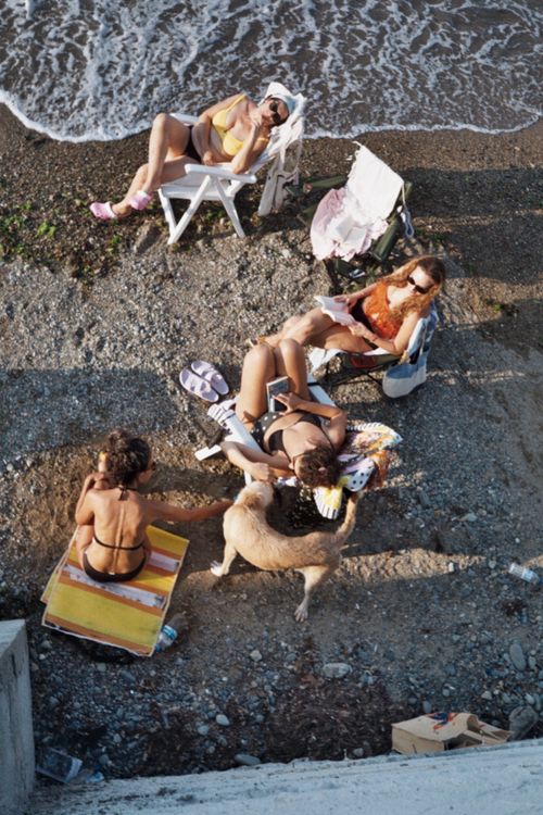 Free Group of women sunbathing on a pebble beach with a dog, enjoying a summer day. Stock Photo