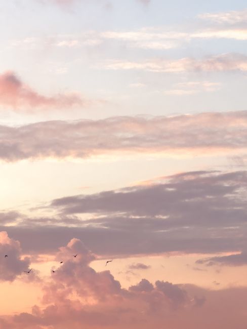 Peaceful aerial view of birds flying among colorful clouds during a serene sunset.