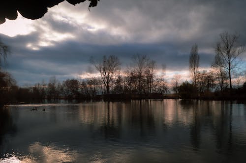 Foto profissional grátis de árvore, cloudsd, lago