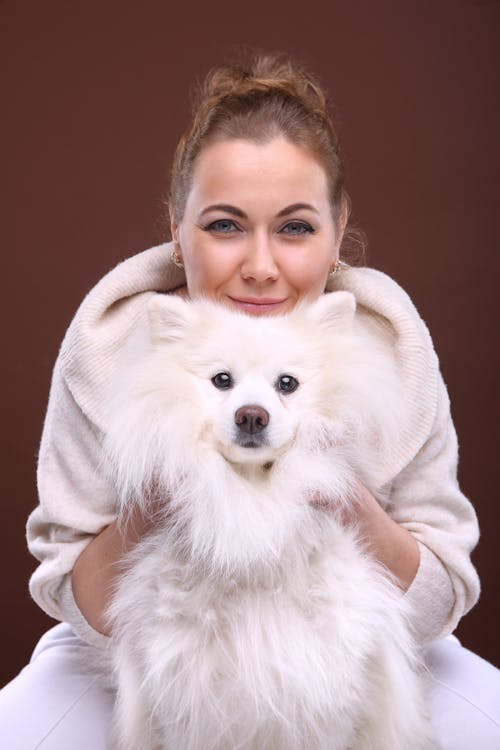 Foto stok gratis akrab, anjing putih, berambut cokelat