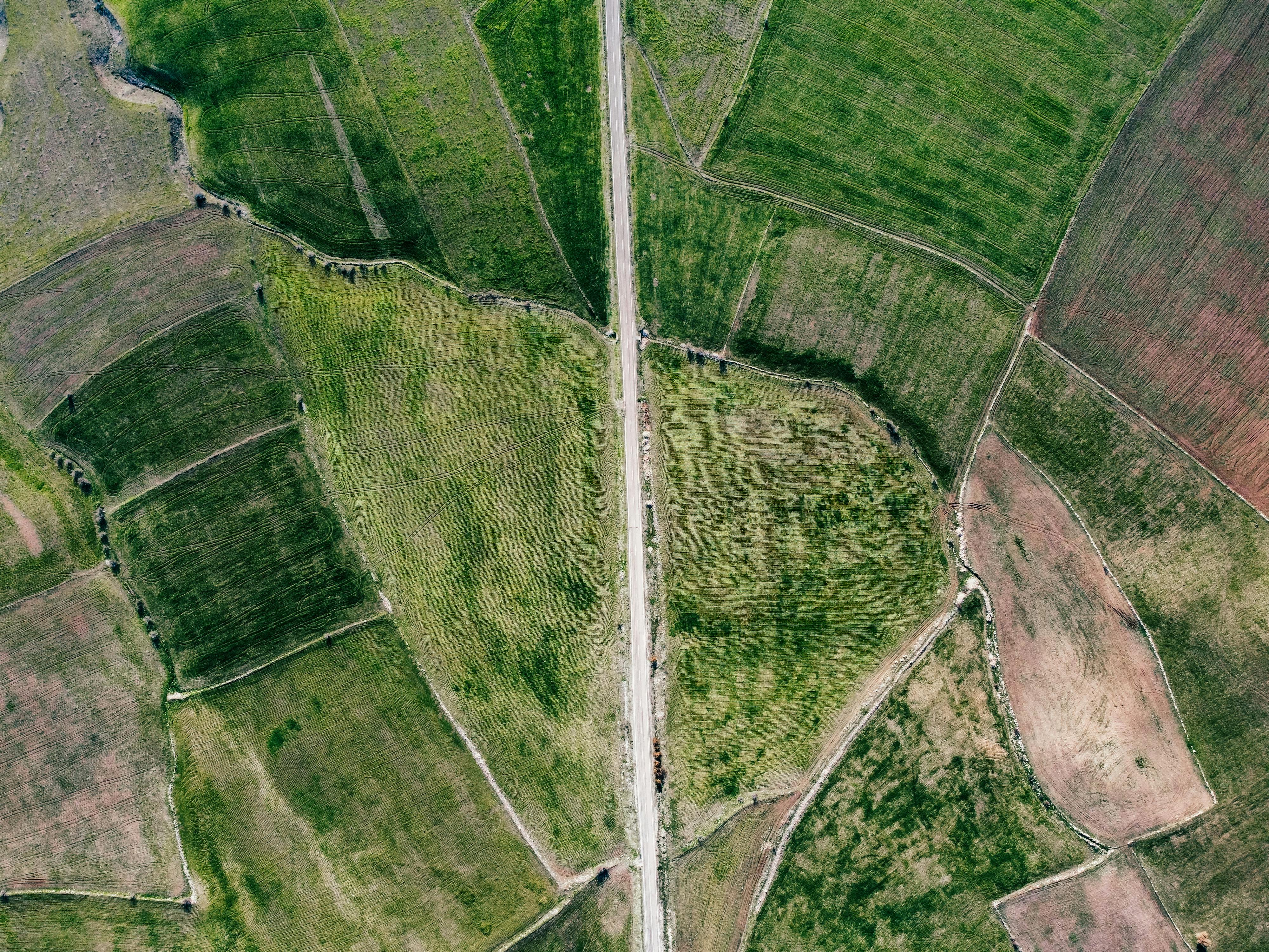 FERMA Aims For Joint Initiative on Climate Resilience - — Photo by SERHAT  TUĞ on Pexels