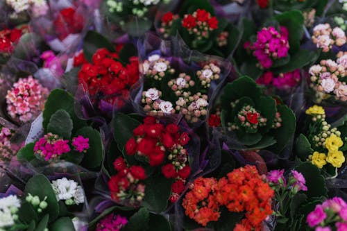 A bunch of flowers with red, yellow and green flowers