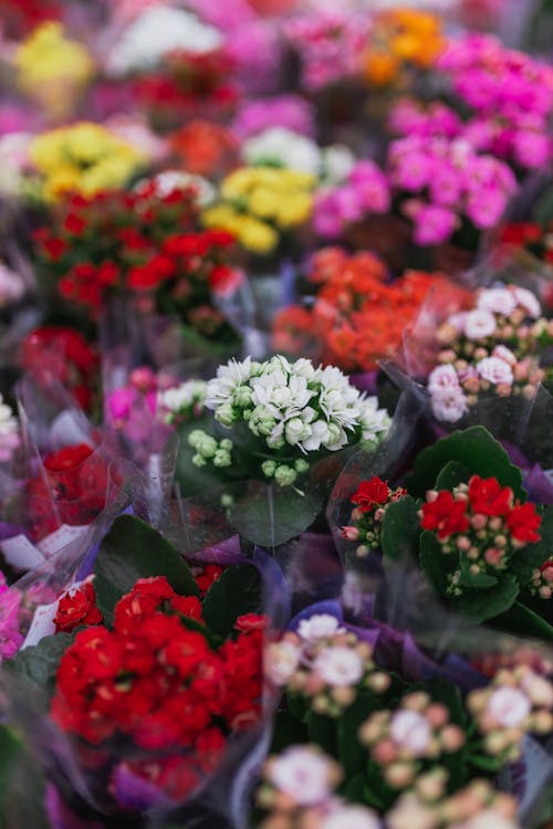 A bunch of flowers are arranged in a market