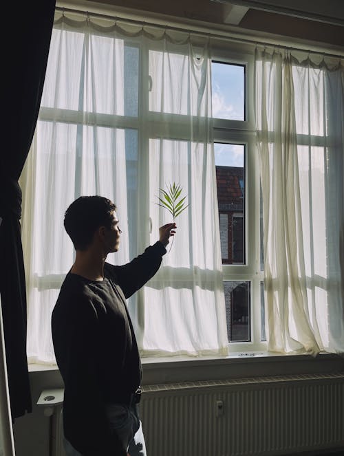 Man Holding a Leaf in Front of a Window 