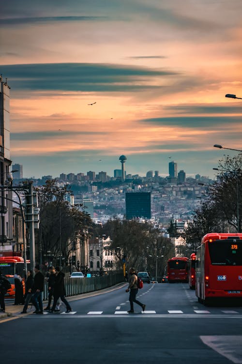 公車, 土耳其, 垂直拍攝 的 免費圖庫相片