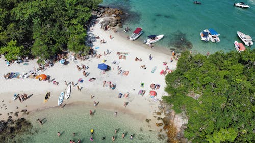 People on Beach in Summer