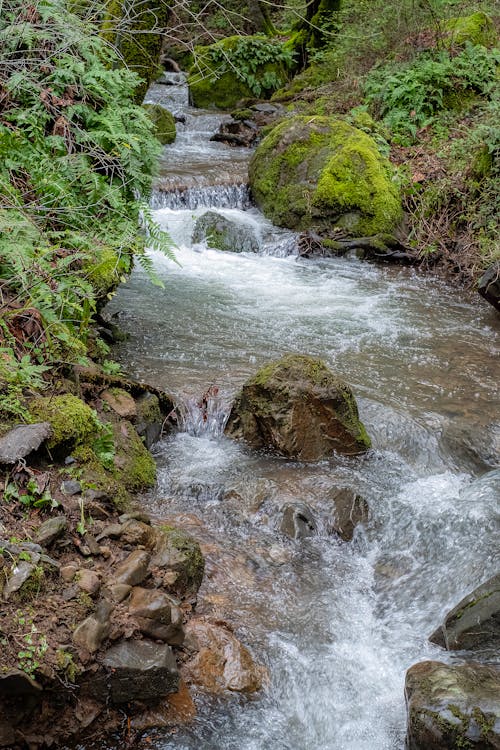 Kostenloses Stock Foto zu felsen, fließendes wasser, landschaft