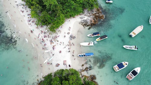 People and Motorboats around Beach on Sea Shore