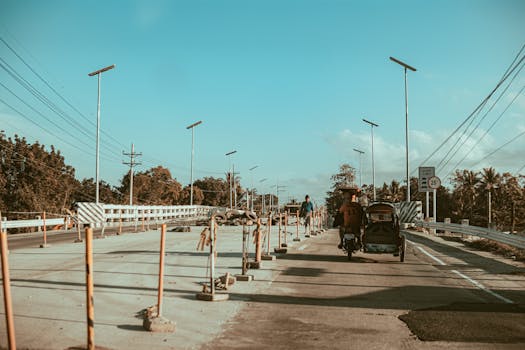 A back view of a man riding a motorcycle with a sidecar on a sunny road surrounded by greenery.