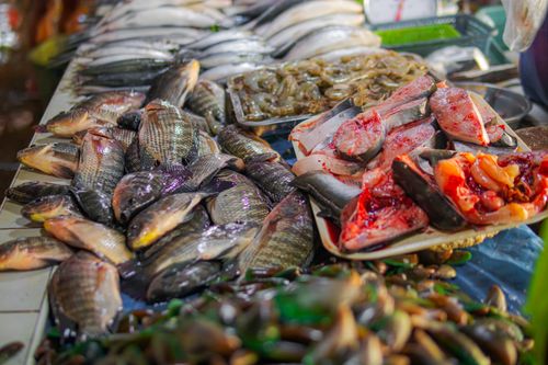 Free Vibrant display of fresh fish and seafood at a bustling market stall, perfect for culinary concepts. Stock Photo