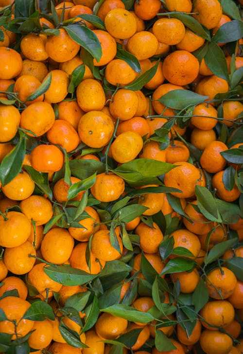 Oranges with Leaves