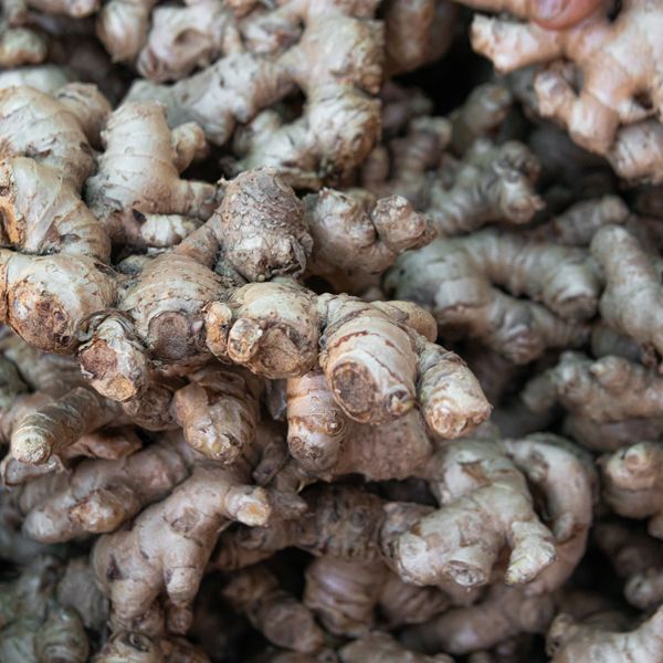 Ginger Bug Soda