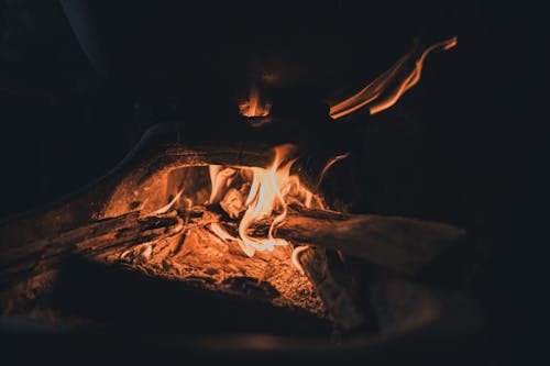 Free Burning Woods in a Campfire Stock Photo