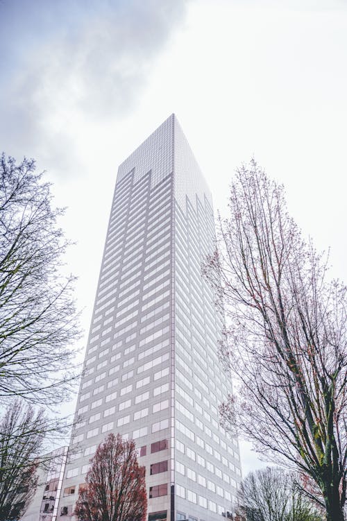 Gratis stockfoto met Amerika, bomen, buitenkant van het gebouw