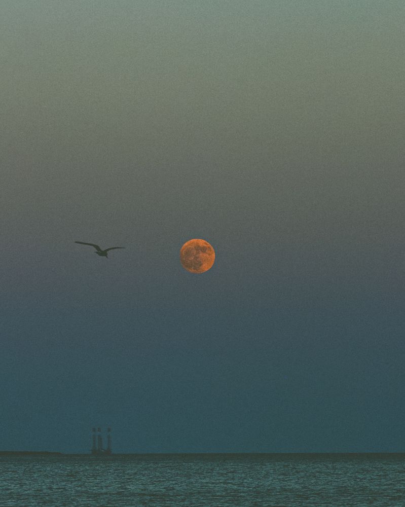 Moonrise Photos, Download The BEST Free Moonrise Stock Photos & HD Images