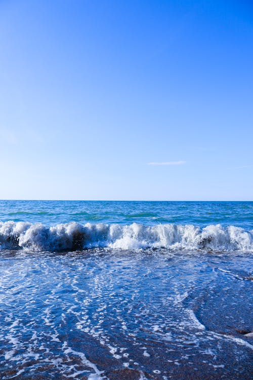 Seashore with a Clear Line of the Horizon in the Background