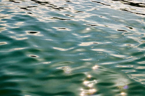 Foto profissional grátis de água, lago, luz do sol