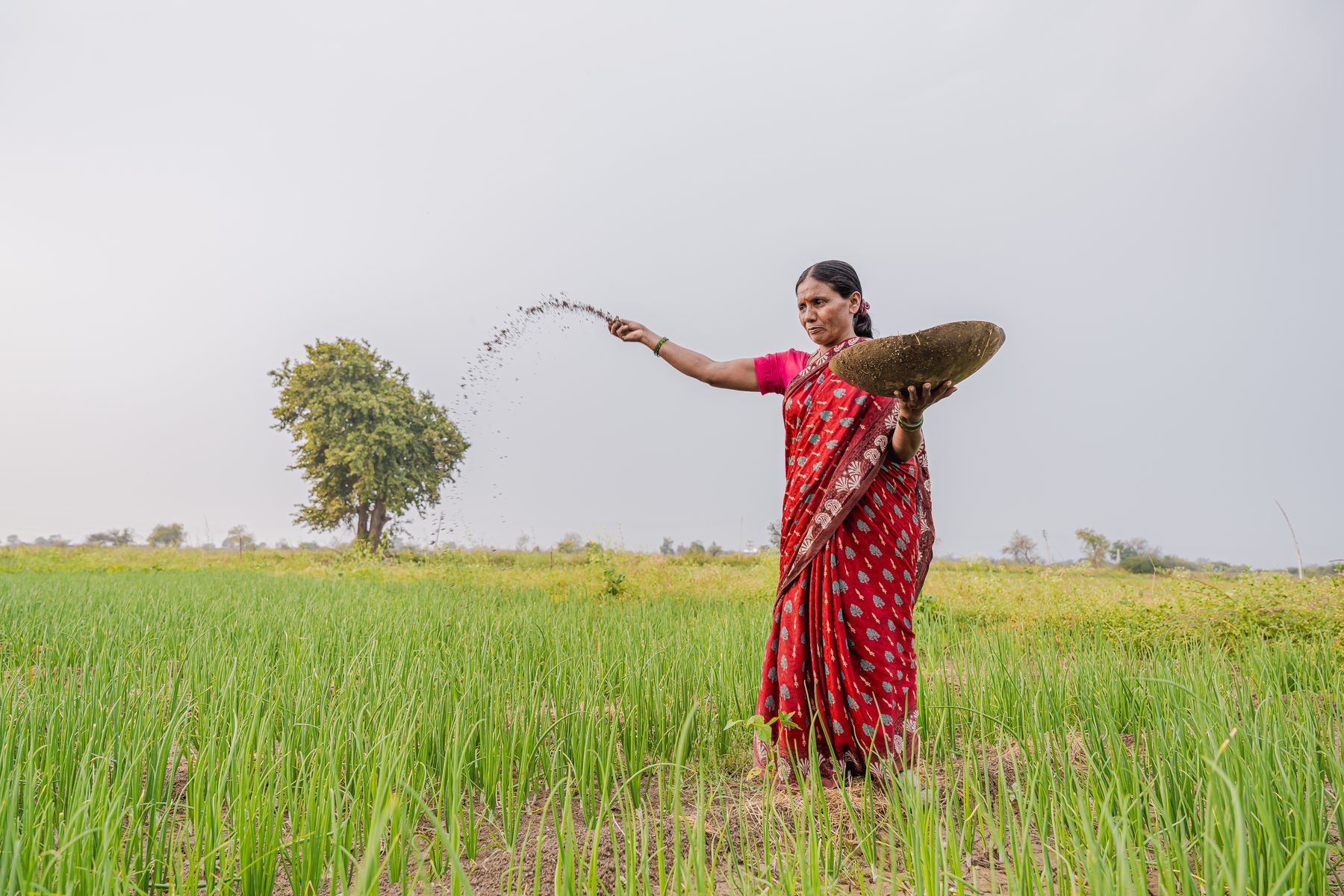 Farmer applying fertilizer in a field