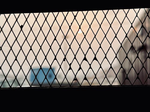 Foto stok gratis batang jendela, jala, latar belakang musim dingin