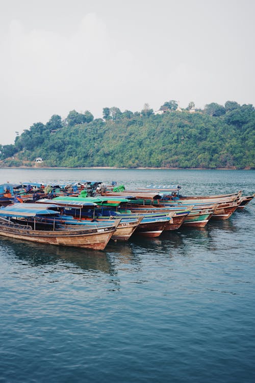 Boats with Roofs Moored in Harbor