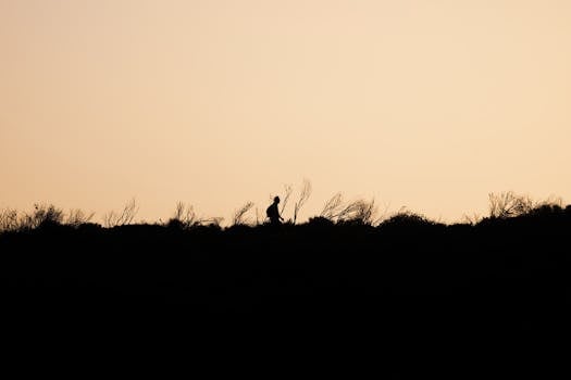 A lone silhouette of a man walking through a field at sunset, creating a peaceful and contemplative scene.