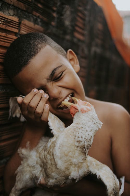 Closeup of a Boy Cuddling a Hen