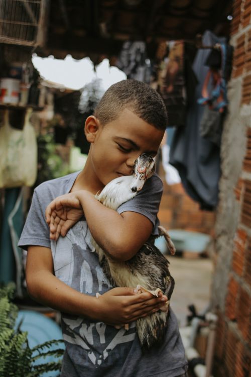 Free A young boy affectionately cuddles a duck in a rustic outdoor setting, capturing a moment of bonding. Stock Photo