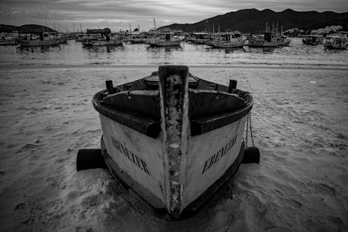 Foto d'estoc gratuïta de barca, blanc i negre, Costa