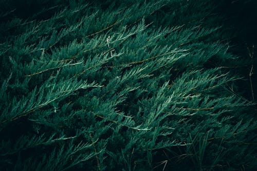 Fotos de stock gratuitas de @al aire libre, abstracto, agua