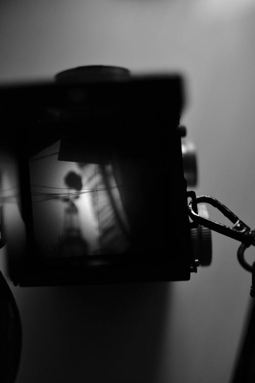 Ingyenes stockfotó analóg fényképezőgép, anyatermészet, árnyék témában
