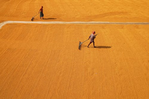 Základová fotografie zdarma na téma hřiště, letecká fotografie, práce