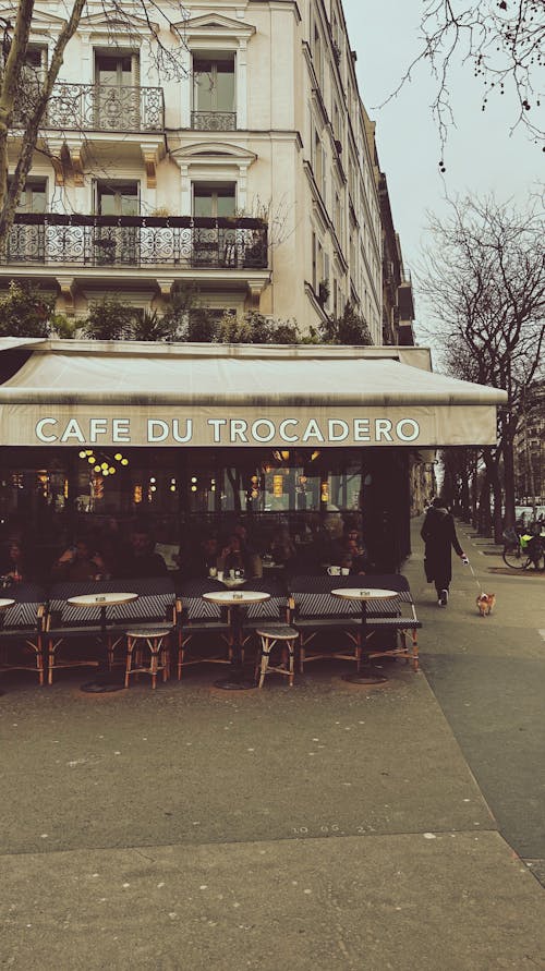 Immagine gratuita di caffè del trocadero, città, edificio