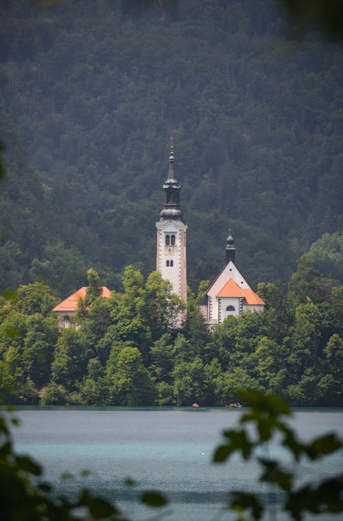 Kostenloses Stock Foto zu bäume, geblutet, kirche