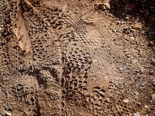 Fotobanka s bezplatnými fotkami na tému @outdoor, Arizona, cestička