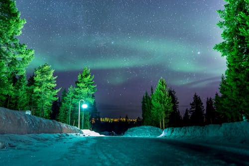Free Empty Snowfield at Nighttime Stock Photo