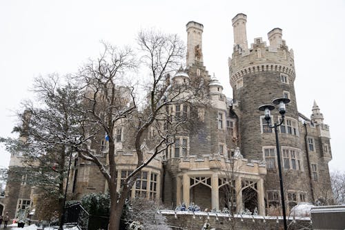 Gratis stockfoto met bewolkte dag, casa loma kasteel, gebouw