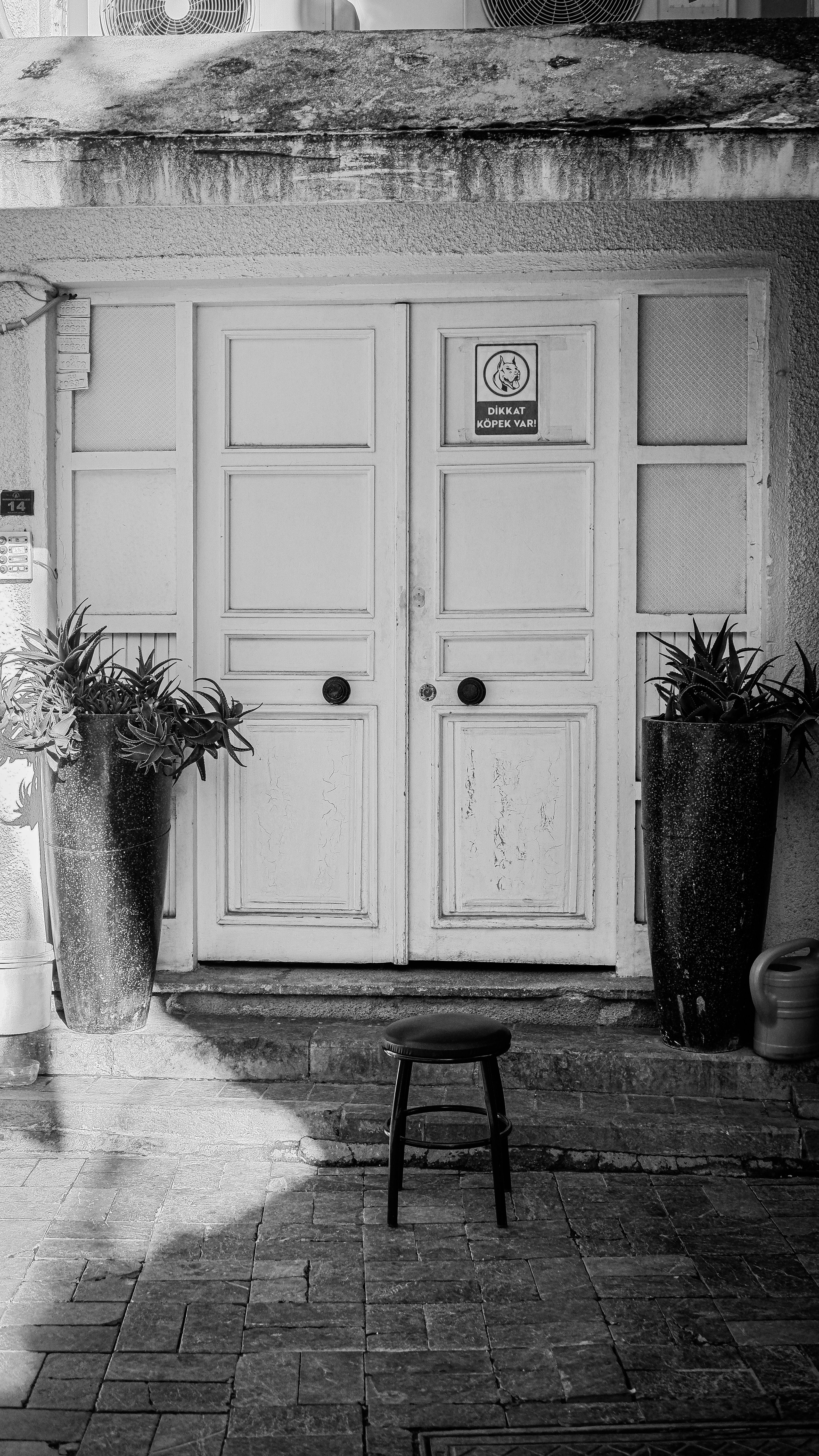foto-de-stock-gratuita-sobre-fotos-en-blanco-y-negro-entrada-entradas