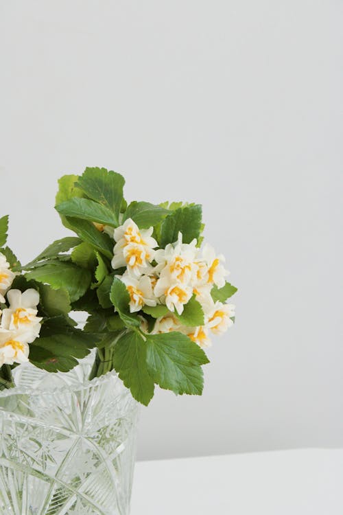 Flowers in Vase